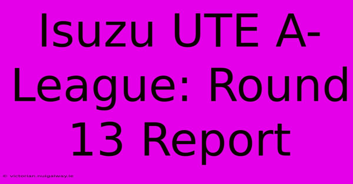 Isuzu UTE A-League: Round 13 Report