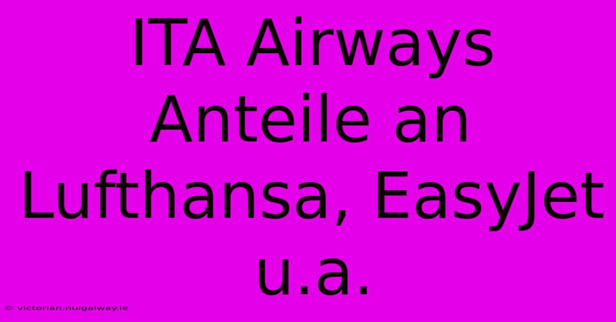 ITA Airways Anteile An Lufthansa, EasyJet U.a.