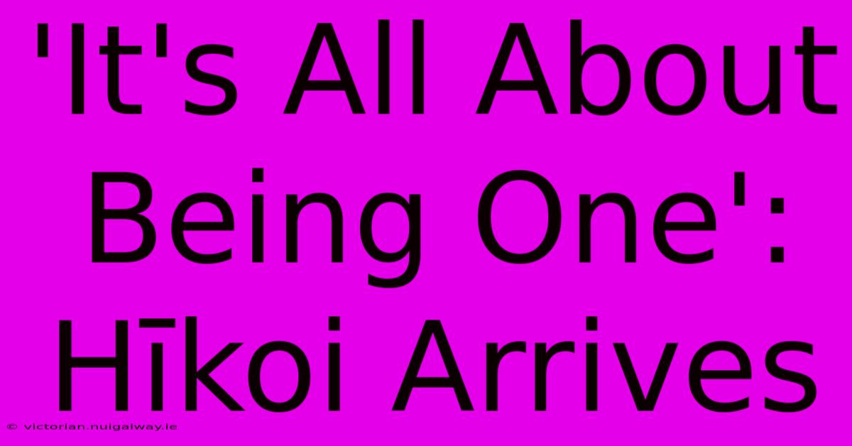 'It's All About Being One': Hīkoi Arrives