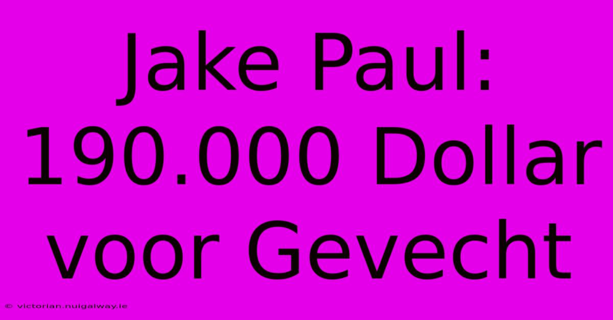 Jake Paul: 190.000 Dollar Voor Gevecht