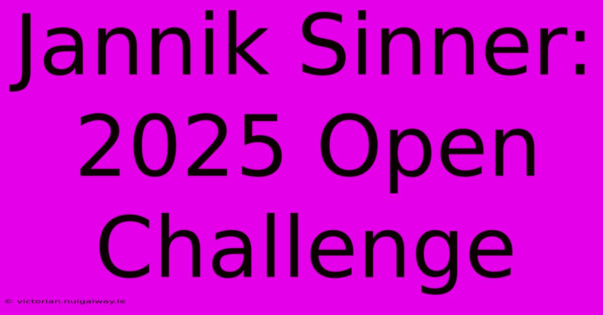 Jannik Sinner: 2025 Open Challenge