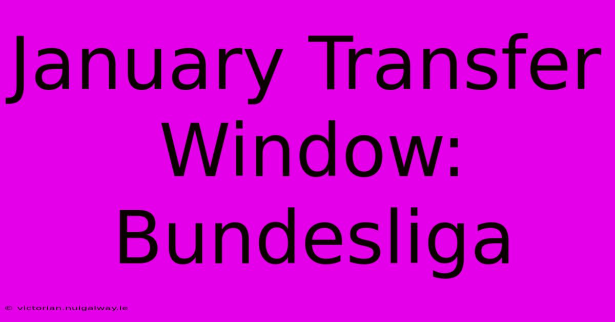 January Transfer Window: Bundesliga