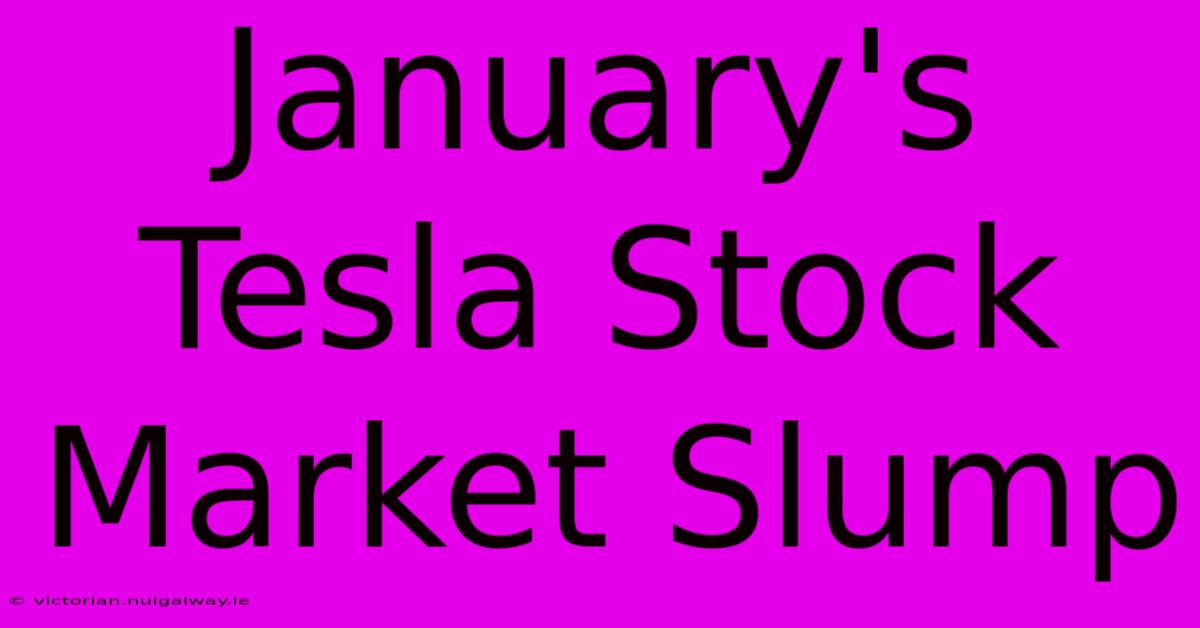 January's Tesla Stock Market Slump