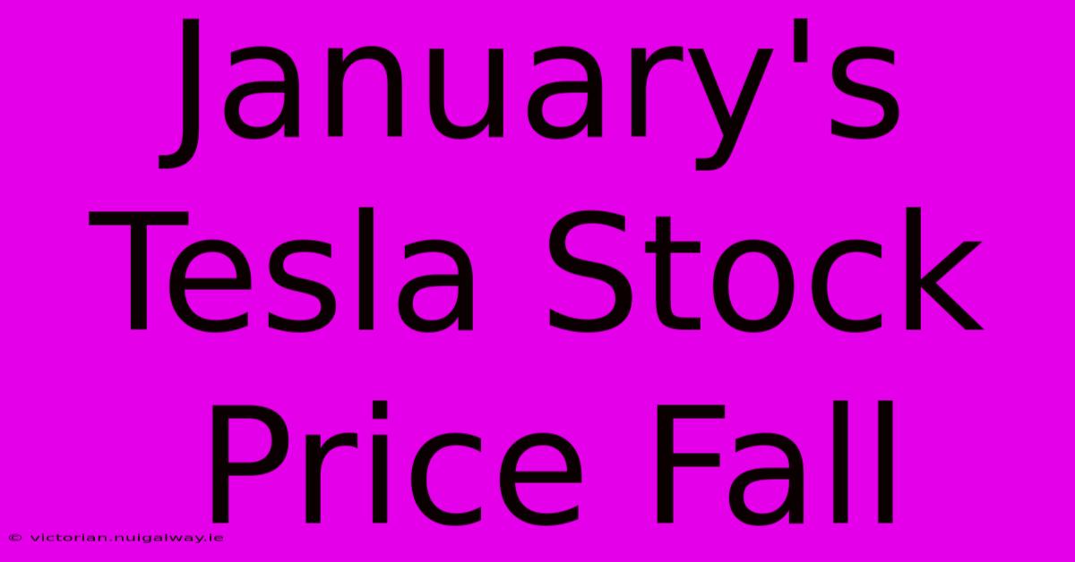 January's Tesla Stock Price Fall