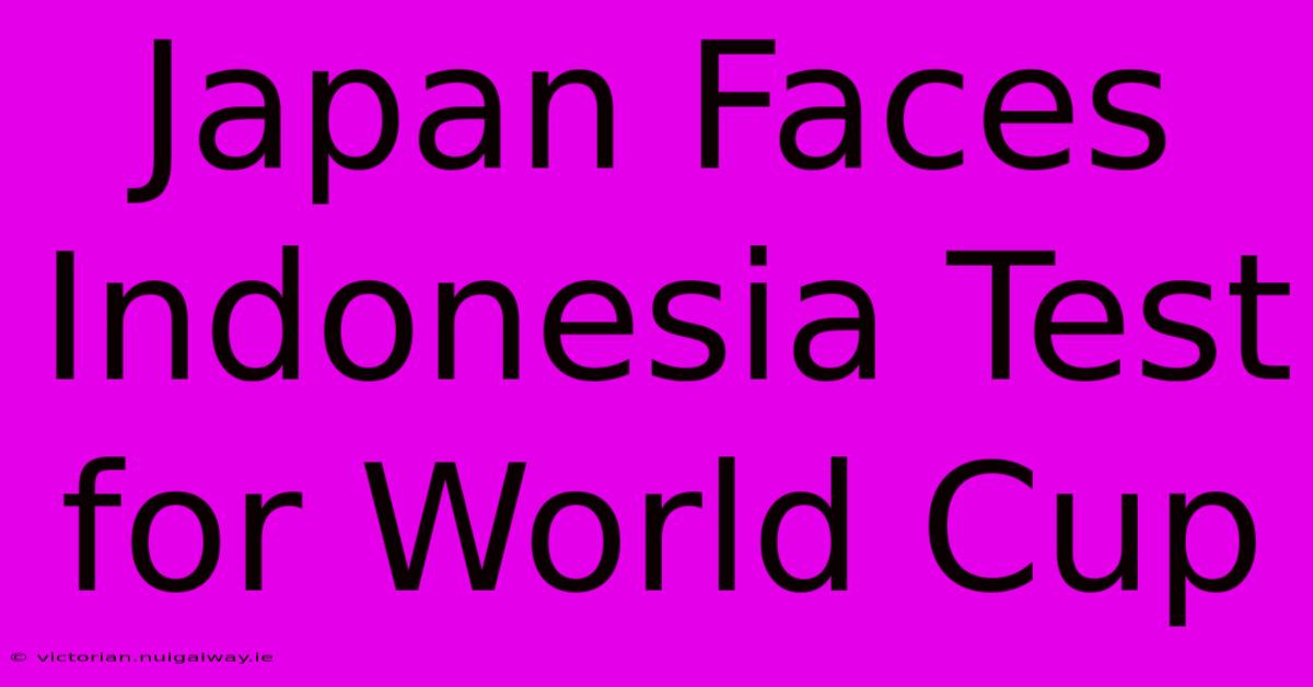 Japan Faces Indonesia Test For World Cup