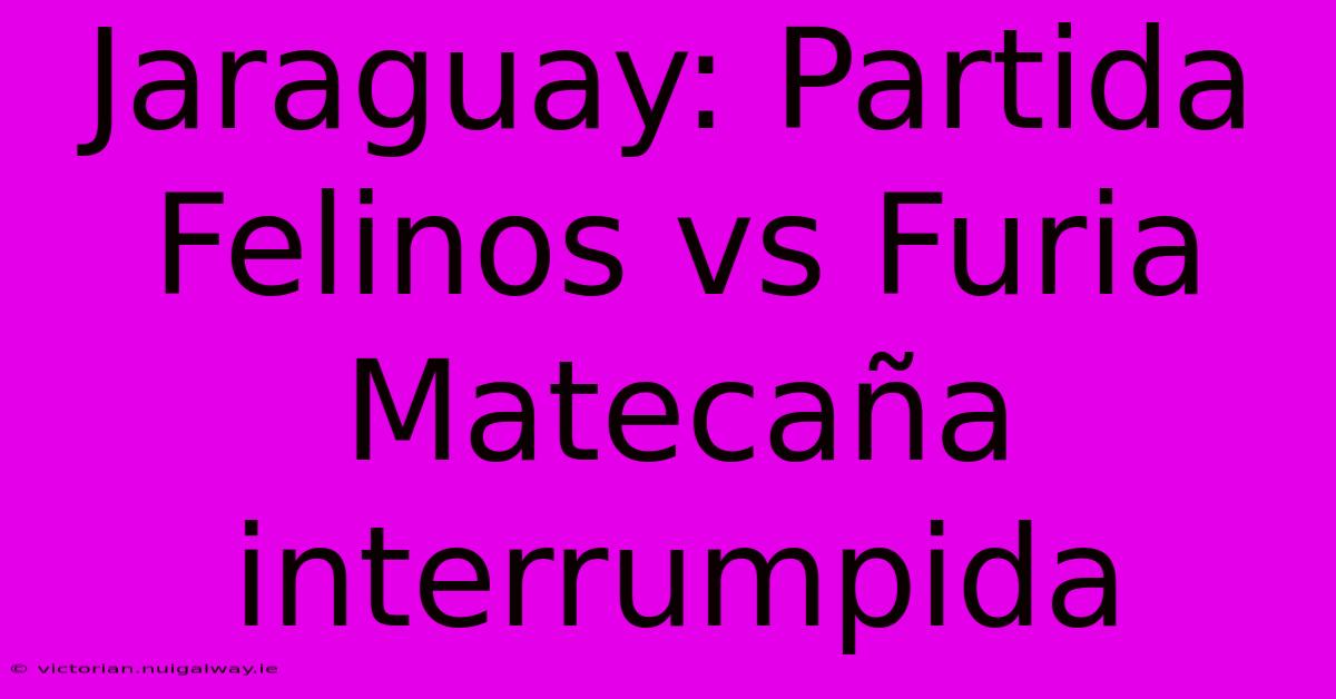 Jaraguay: Partida Felinos Vs Furia Matecaña Interrumpida