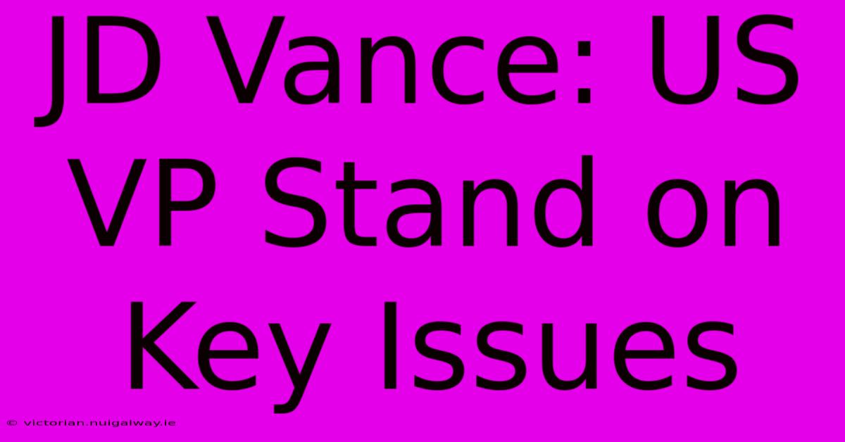 JD Vance: US VP Stand On Key Issues