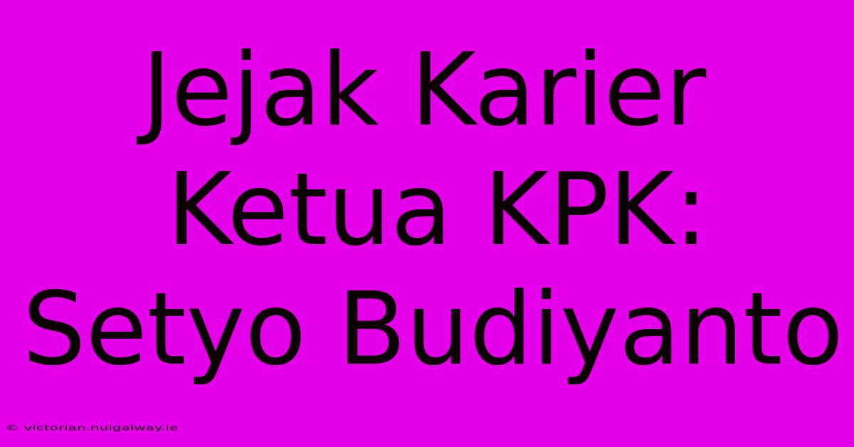 Jejak Karier Ketua KPK: Setyo Budiyanto