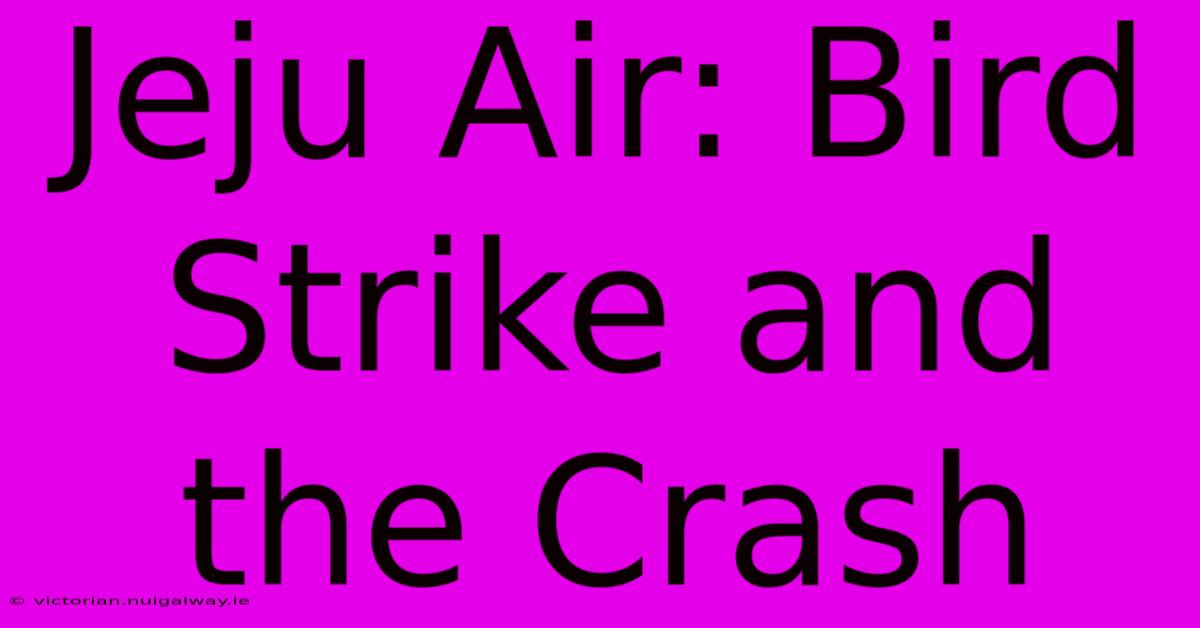 Jeju Air: Bird Strike And The Crash