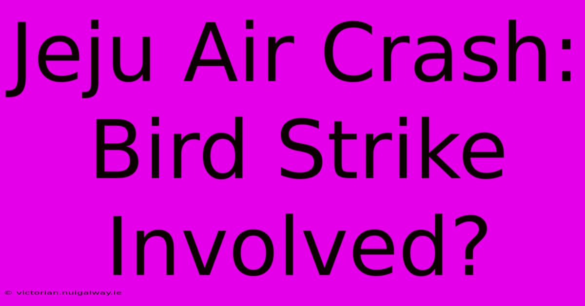 Jeju Air Crash: Bird Strike Involved?