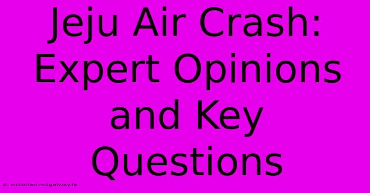 Jeju Air Crash: Expert Opinions And Key Questions