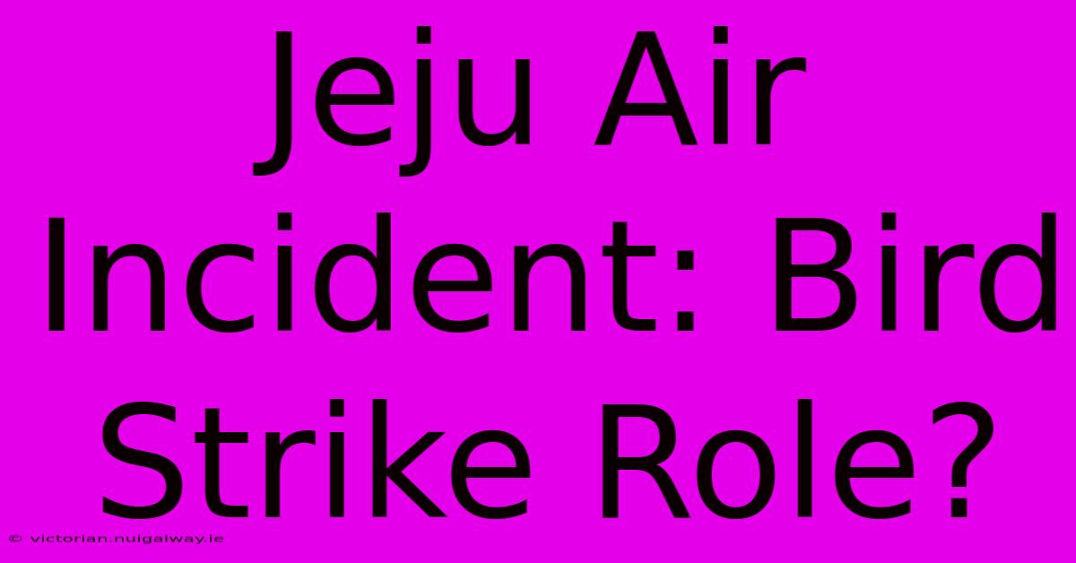 Jeju Air Incident: Bird Strike Role?