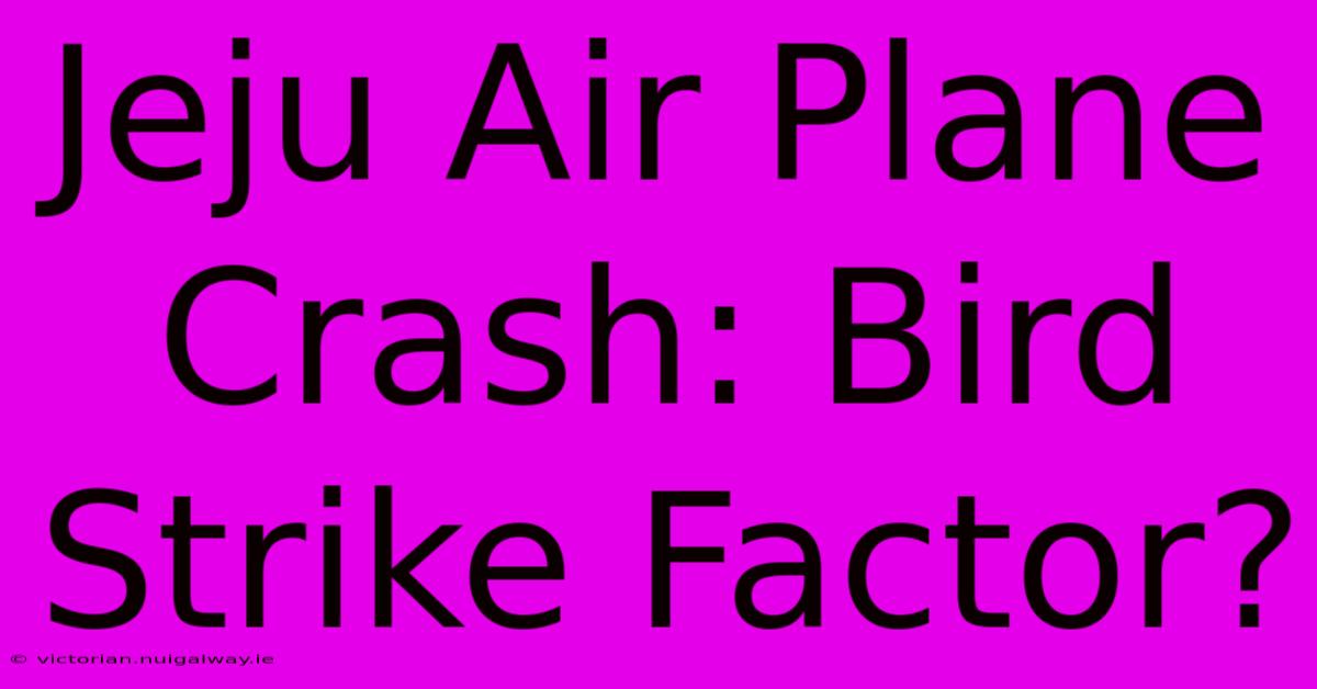 Jeju Air Plane Crash: Bird Strike Factor?