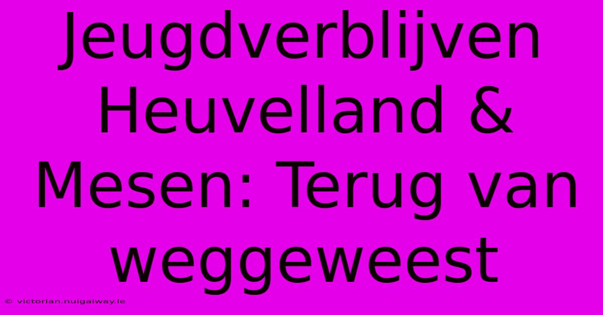 Jeugdverblijven Heuvelland & Mesen: Terug Van Weggeweest