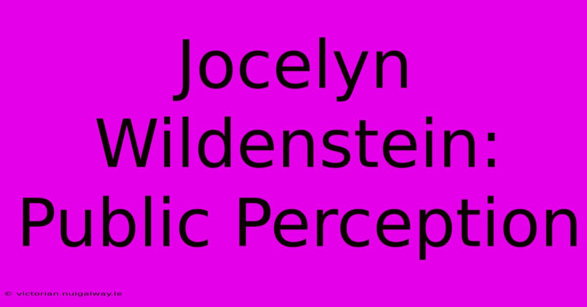 Jocelyn Wildenstein: Public Perception