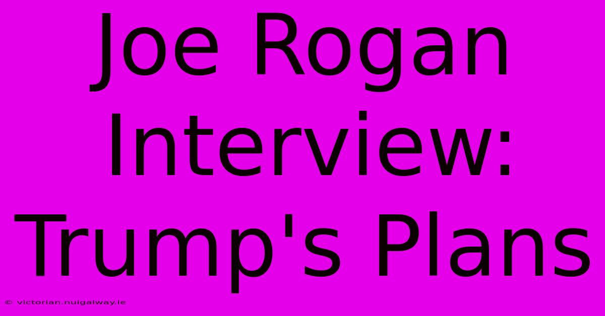 Joe Rogan Interview: Trump's Plans