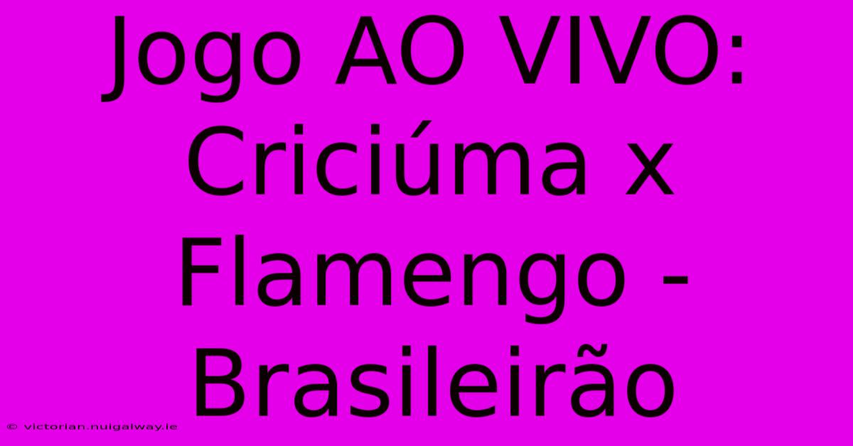 Jogo AO VIVO: Criciúma X Flamengo - Brasileirão