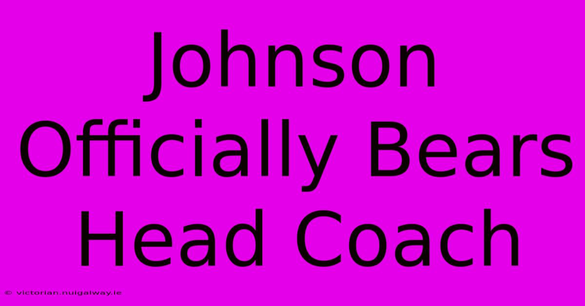 Johnson Officially Bears Head Coach