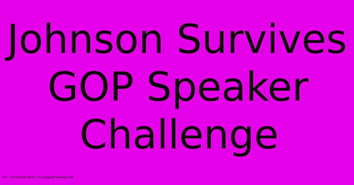 Johnson Survives GOP Speaker Challenge