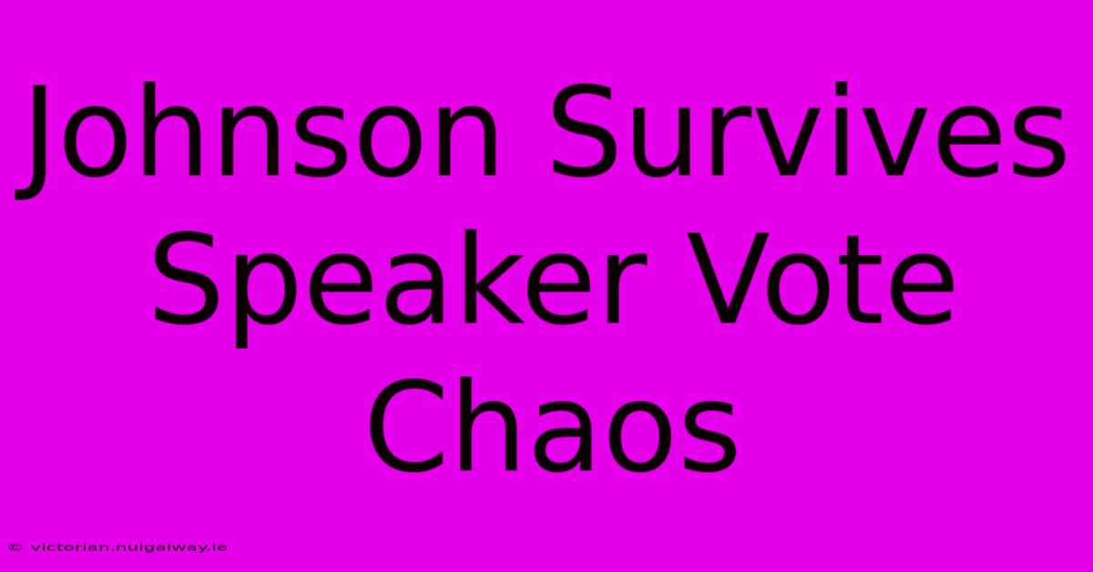 Johnson Survives Speaker Vote Chaos