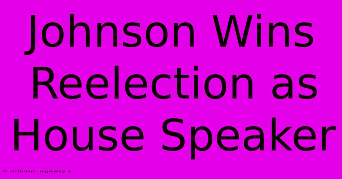 Johnson Wins Reelection As House Speaker