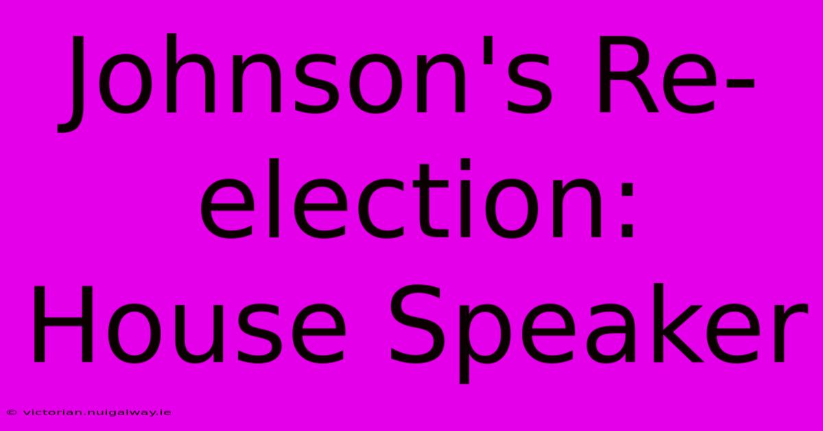 Johnson's Re-election: House Speaker