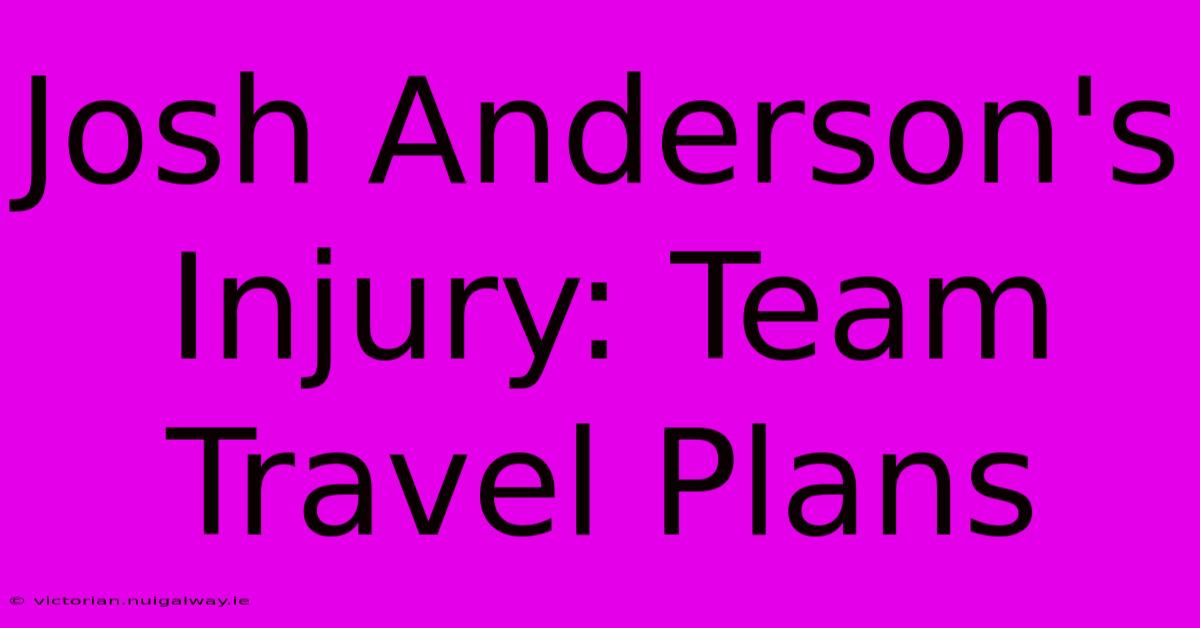 Josh Anderson's Injury: Team Travel Plans