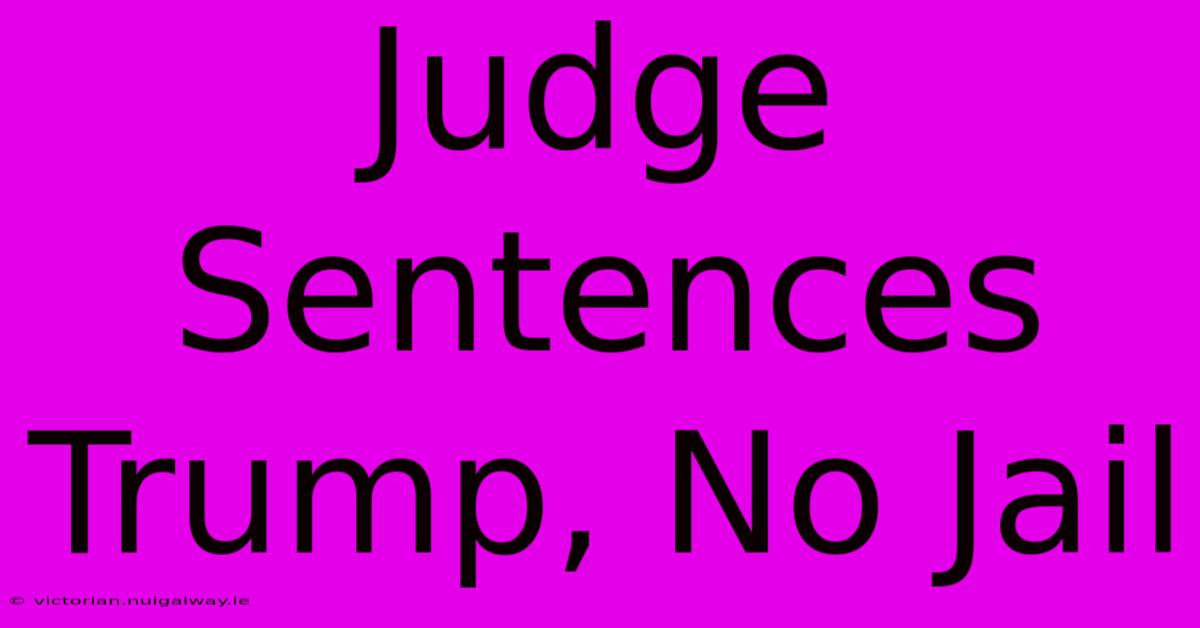 Judge Sentences Trump, No Jail