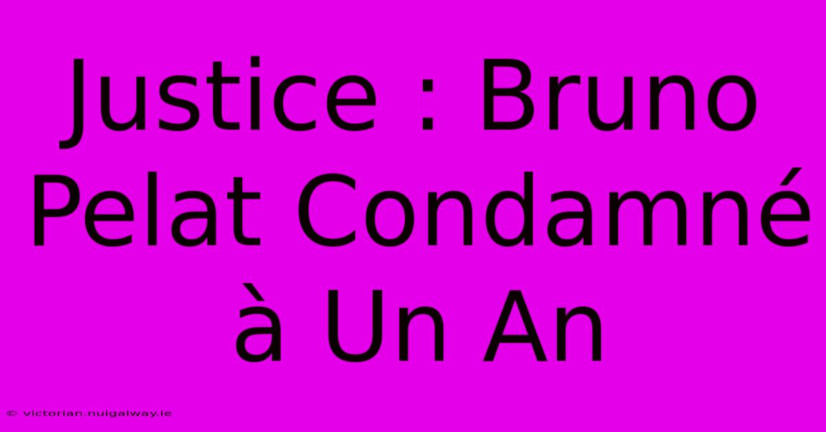 Justice : Bruno Pelat Condamné À Un An 