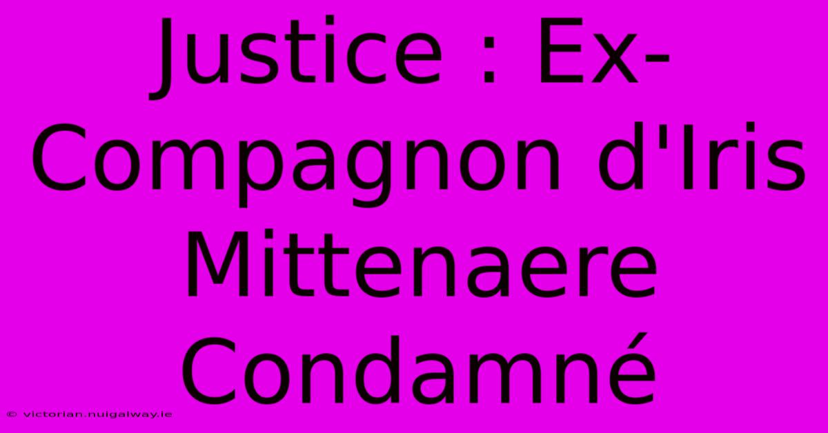 Justice : Ex-Compagnon D'Iris Mittenaere Condamné 