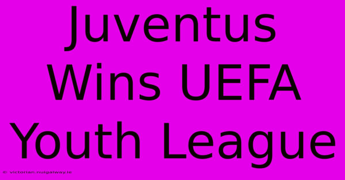 Juventus Wins UEFA Youth League