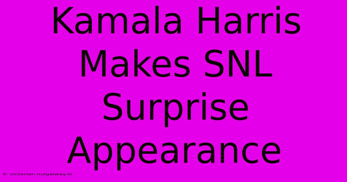 Kamala Harris Makes SNL Surprise Appearance