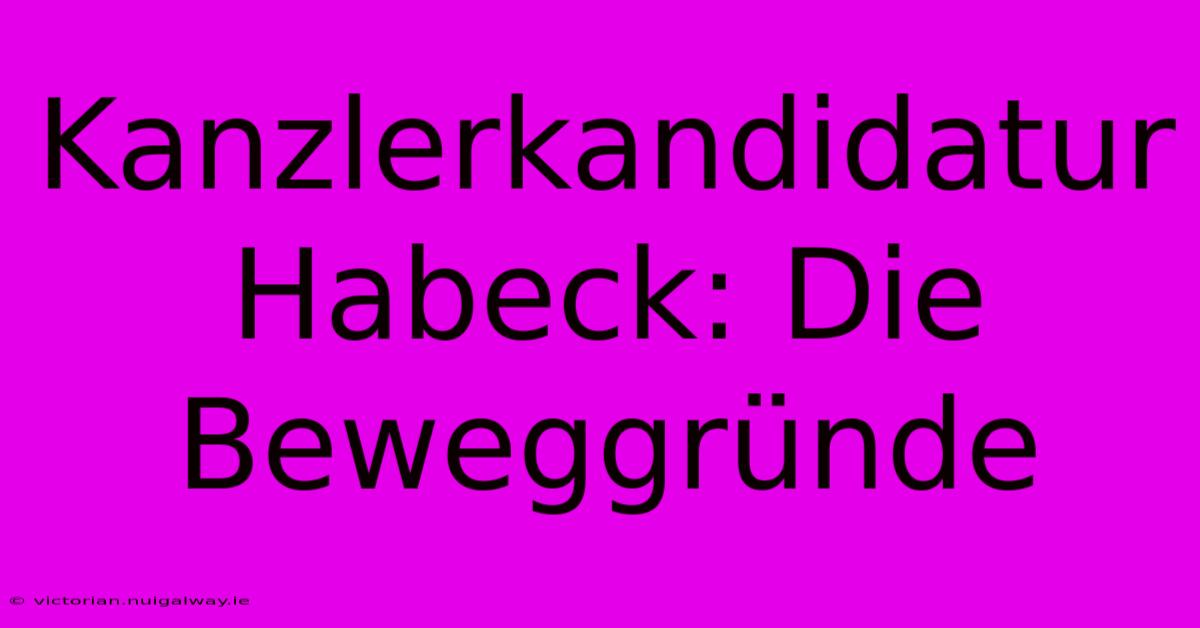 Kanzlerkandidatur Habeck: Die Beweggründe