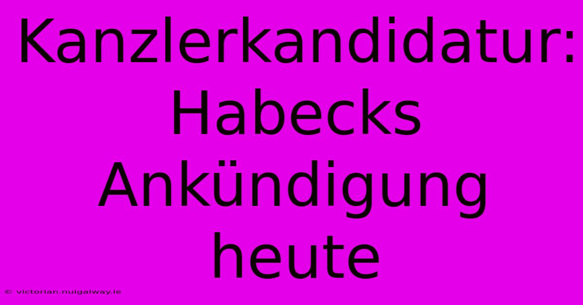 Kanzlerkandidatur: Habecks Ankündigung Heute 