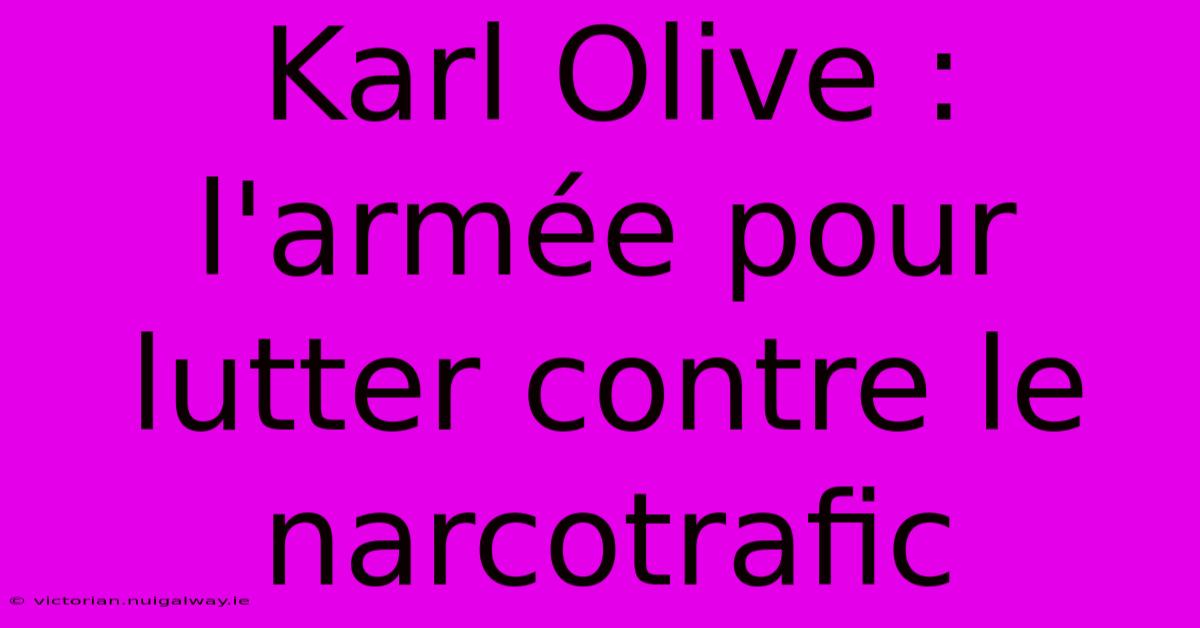 Karl Olive : L'armée Pour Lutter Contre Le Narcotrafic 