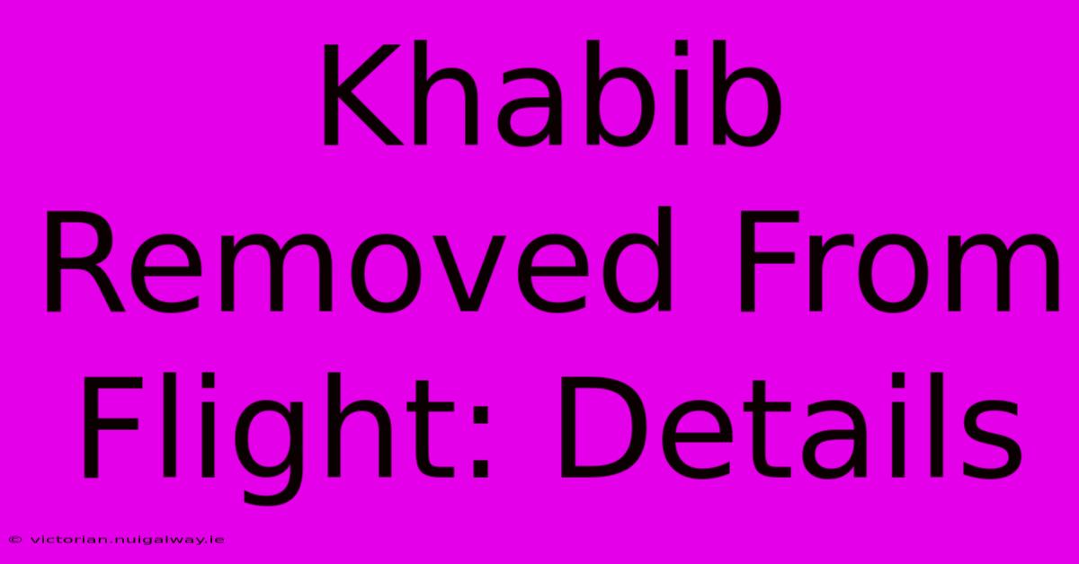 Khabib Removed From Flight: Details