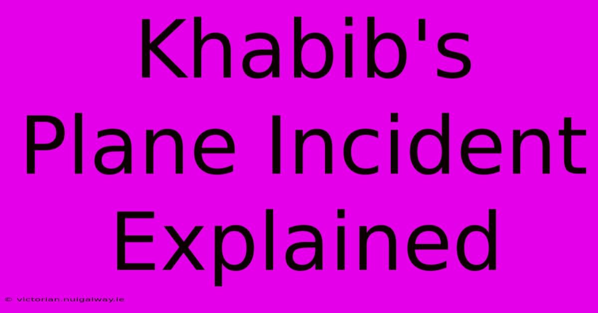 Khabib's Plane Incident Explained