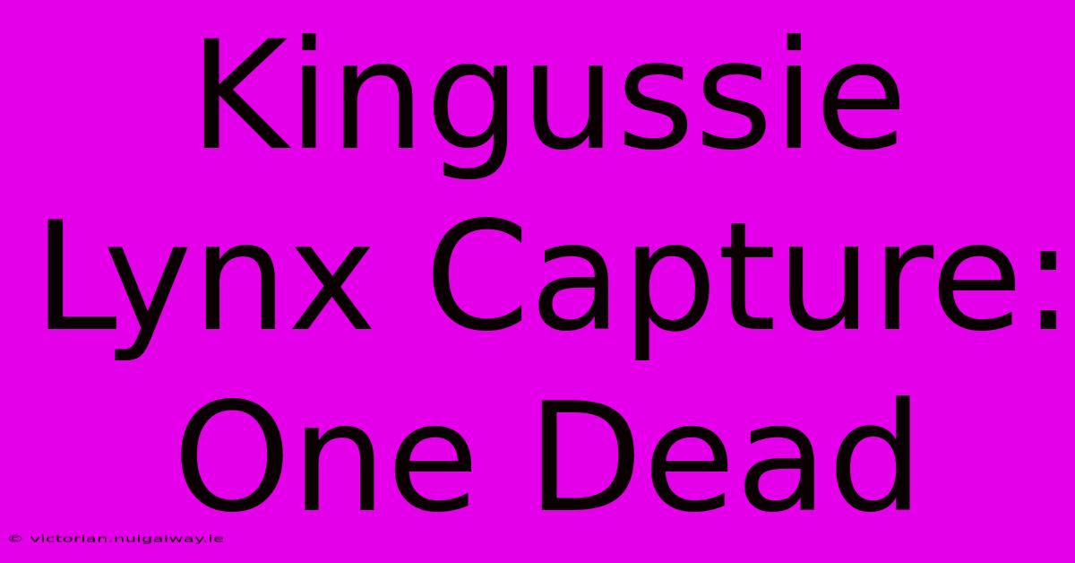 Kingussie Lynx Capture: One Dead