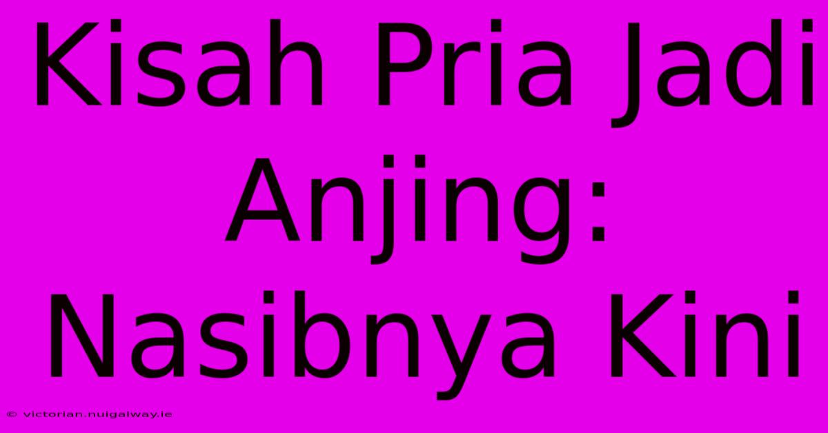 Kisah Pria Jadi Anjing: Nasibnya Kini