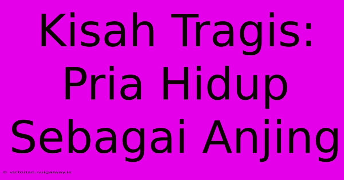 Kisah Tragis: Pria Hidup Sebagai Anjing