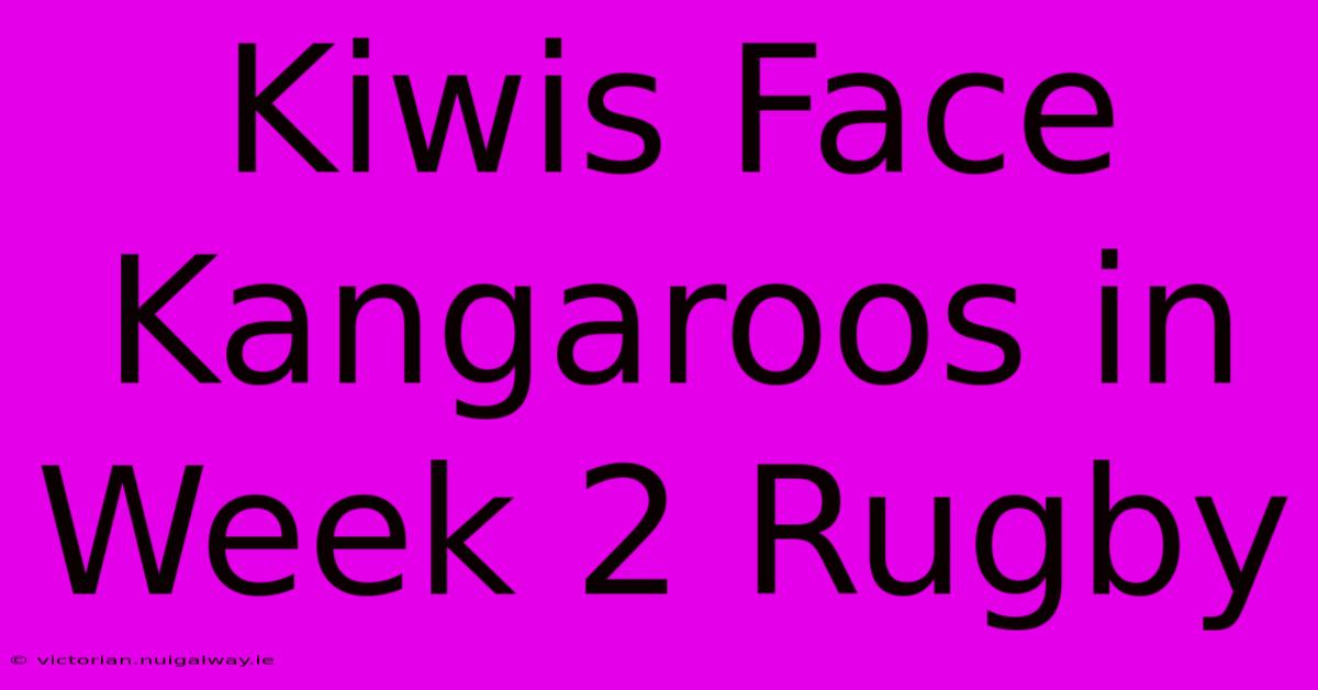 Kiwis Face Kangaroos In Week 2 Rugby