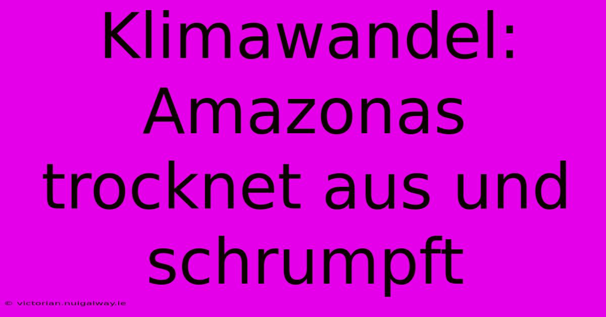 Klimawandel: Amazonas Trocknet Aus Und Schrumpft