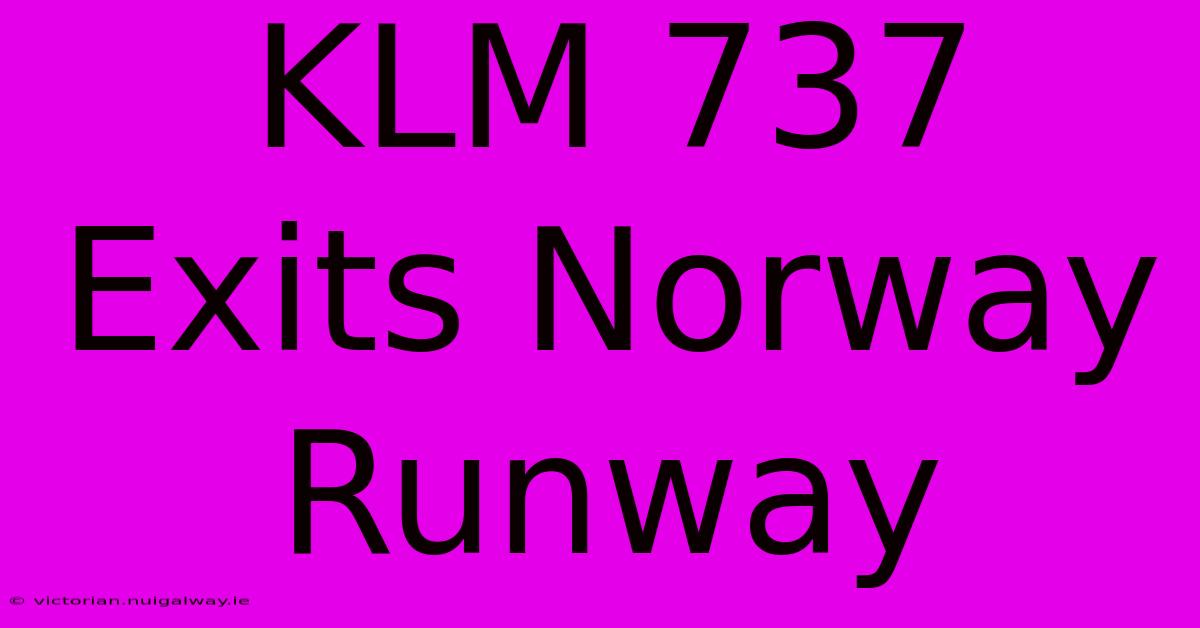 KLM 737 Exits Norway Runway