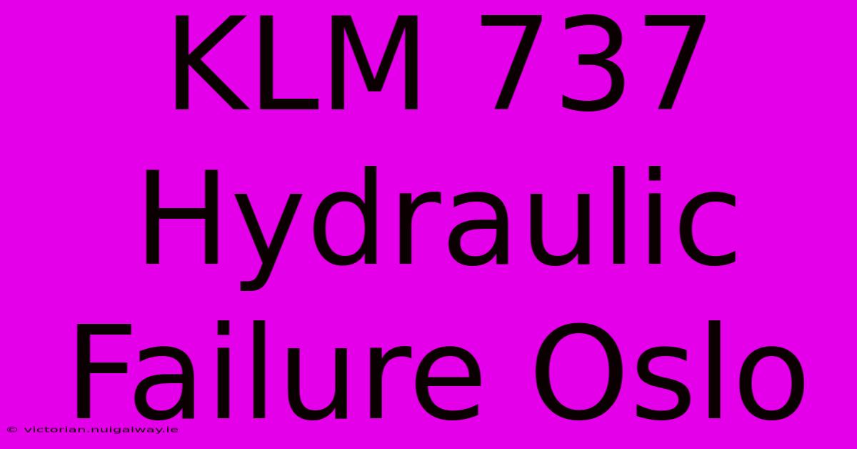 KLM 737 Hydraulic Failure Oslo