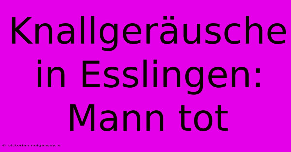 Knallgeräusche In Esslingen: Mann Tot