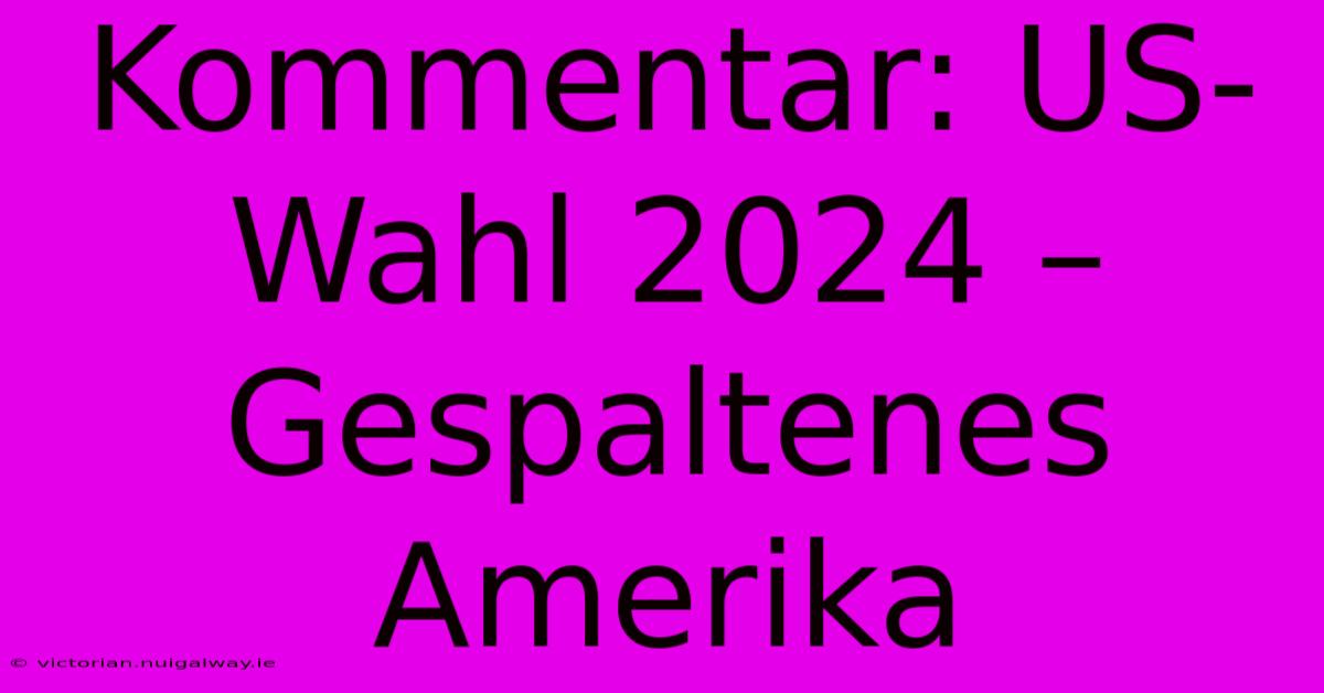 Kommentar: US-Wahl 2024 – Gespaltenes Amerika