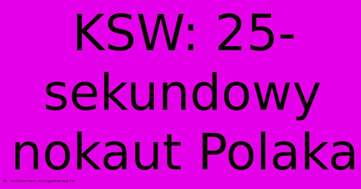 KSW: 25-sekundowy Nokaut Polaka