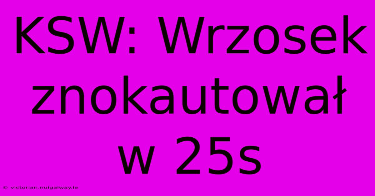 KSW: Wrzosek Znokautował W 25s