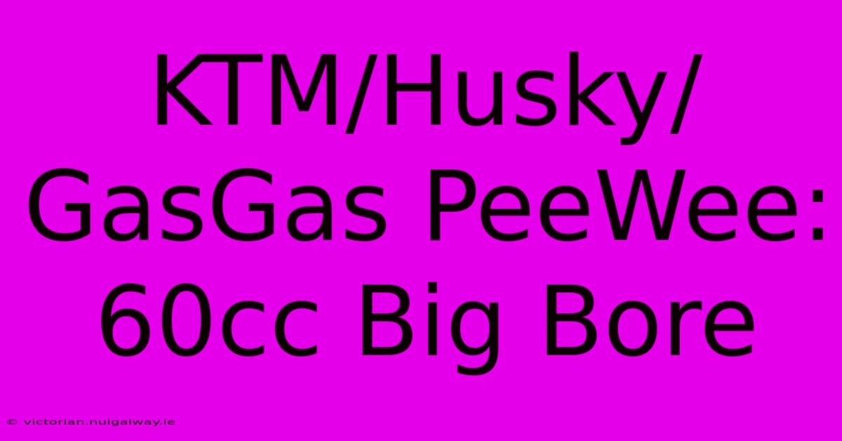 KTM/Husky/GasGas PeeWee: 60cc Big Bore