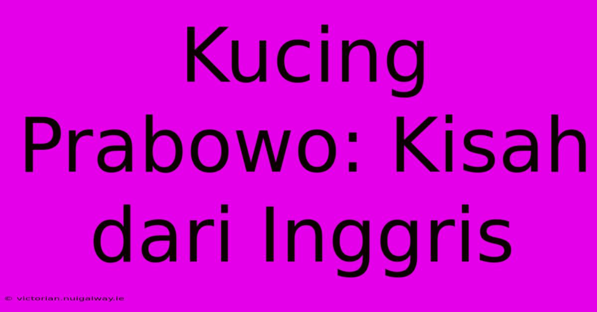 Kucing Prabowo: Kisah Dari Inggris